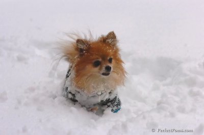 Feb2_08_046.JPG
