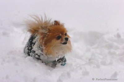 Feb2_08_047.JPG