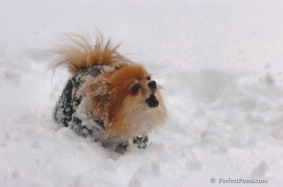 Feb2_08_048.JPG