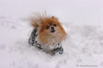 Feb2_08_049.JPG