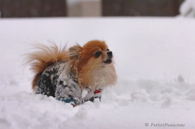 Feb2_08_051.JPG