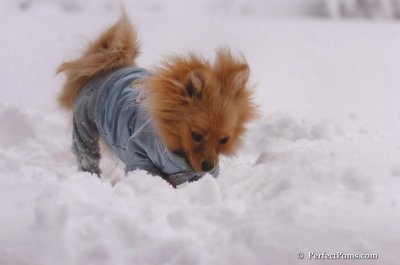 Feb2_08_058.JPG