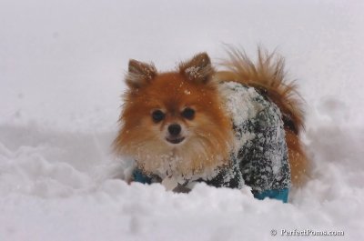 Feb2_08_059.JPG