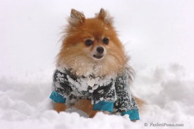 Feb2_08_060.JPG