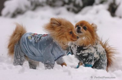 Feb2_08_066.JPG
