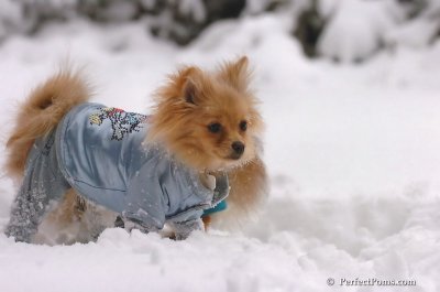 Feb2_08_069.JPG