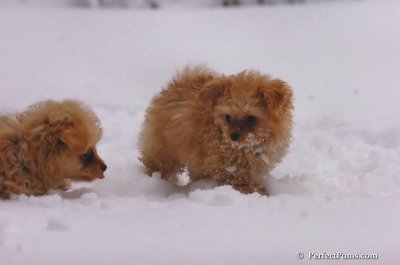 Feb2_08_071.JPG