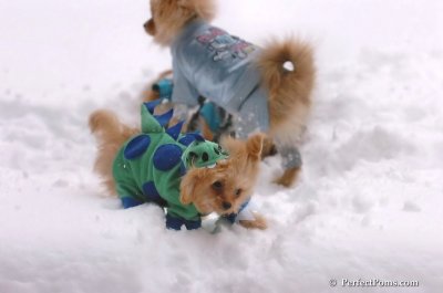 Feb2_08_074.JPG