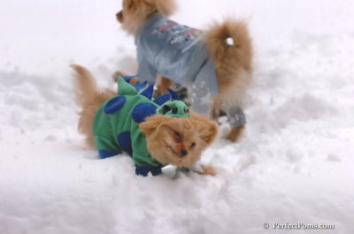 Feb2_08_075.JPG