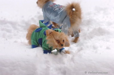 Feb2_08_076.JPG