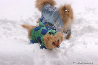 Feb2_08_078.JPG
