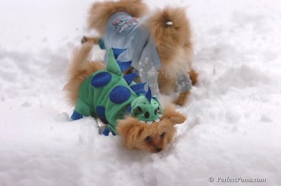 Feb2_08_079.JPG