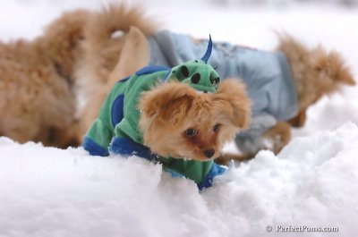 Feb2_08_080.JPG