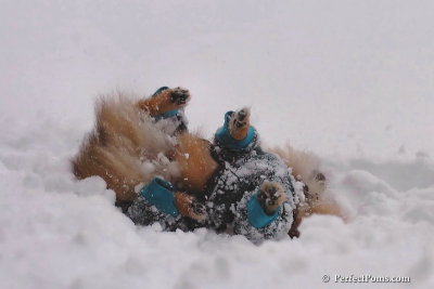 Feb2_08_082.jpg