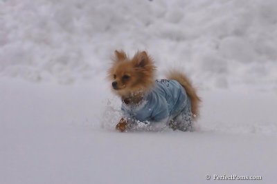 Feb2_08_094.jpg
