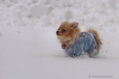 Feb2_08_099.jpg