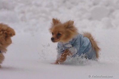 Feb2_08_103.jpg