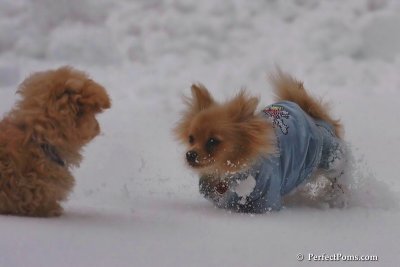 Feb2_08_104.jpg