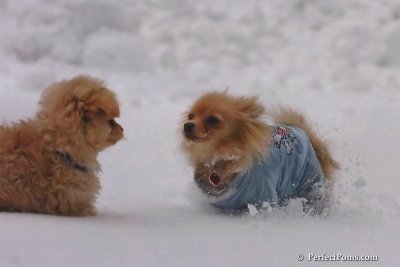 Feb2_08_105.jpg