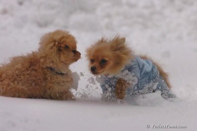 Feb2_08_106.jpg