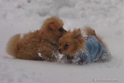 Feb2_08_107.jpg