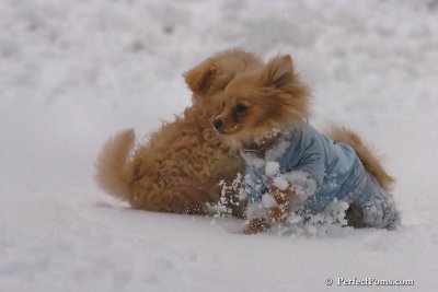 Feb2_08_108.jpg