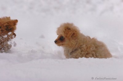 Feb2_08_110.JPG