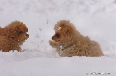 Feb2_08_111.JPG