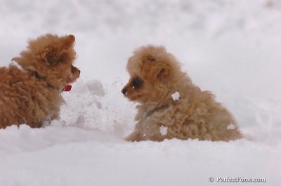 Feb2_08_112.JPG