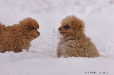 Feb2_08_113.JPG