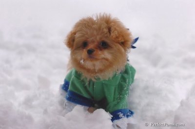 Feb2_08_117.JPG