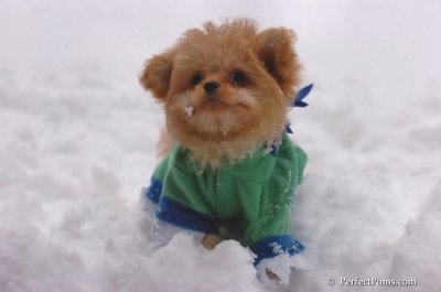 Feb2_08_118.JPG