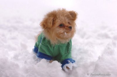 Feb2_08_119.JPG
