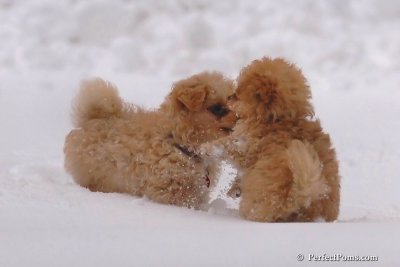 Feb2_08_120.jpg