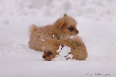 Feb2_08_122.jpg
