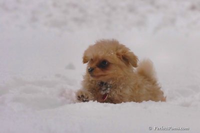Feb2_08_128.jpg