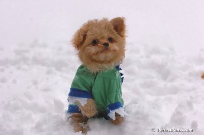 Feb2_08_129.JPG