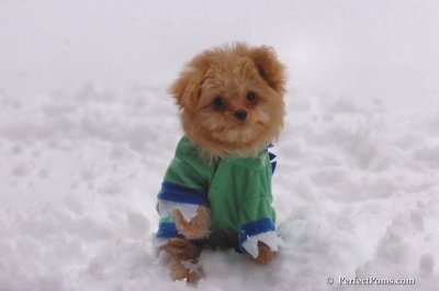 Feb2_08_130.JPG