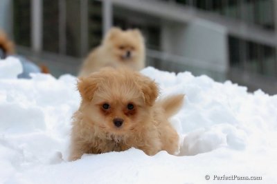 Feb3_08_202.jpg