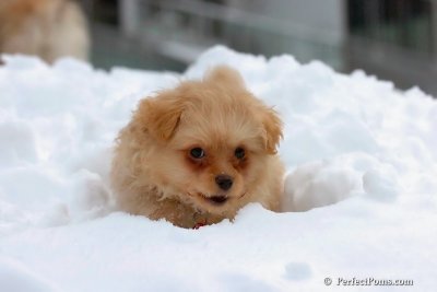 Feb3_08_210.jpg