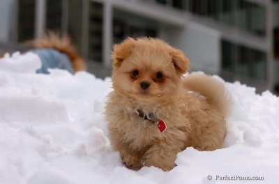 Feb3_08_211.JPG