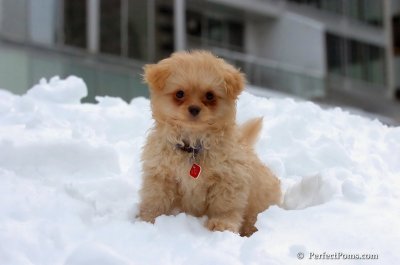 Feb3_08_219.JPG