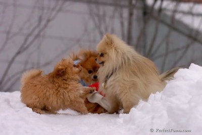 Feb3_08_221.jpg