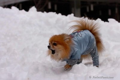 Feb3_08_232.jpg