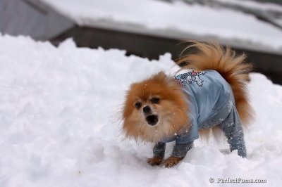 Feb3_08_234.jpg