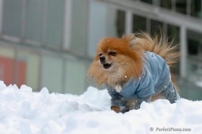 Feb3_08_235.jpg