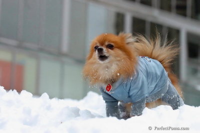 Feb3_08_238.jpg