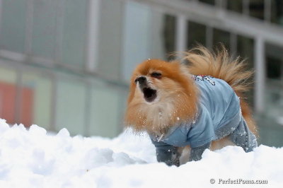 Feb3_08_239.jpg