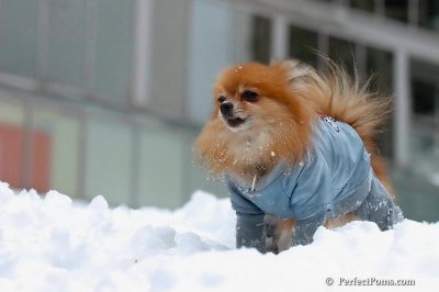 Feb3_08_240.jpg