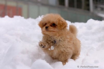 Feb3_08_258.jpg